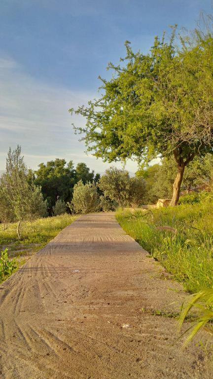 Villa Du Souss 阿加迪尔 外观 照片